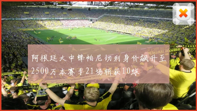 阿根廷大中锋帕尼切利身价飙升至2500万本赛季21场斩获10球