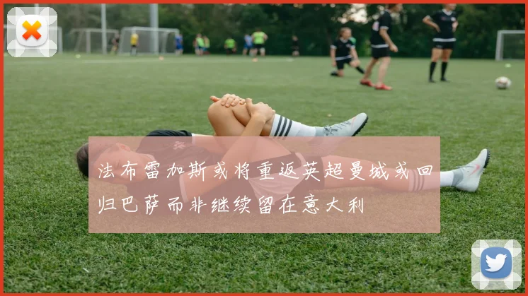 法布雷加斯或将重返英超曼城或回归巴萨而非继续留在意大利