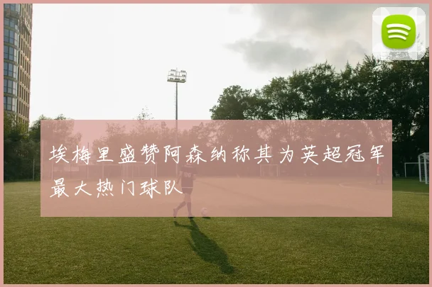 埃梅里盛赞阿森纳称其为英超冠军最大热门球队