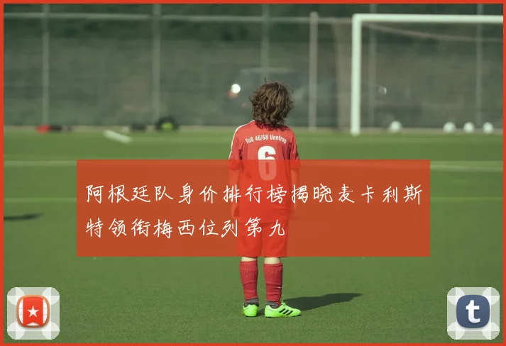 阿根廷队身价排行榜揭晓麦卡利斯特领衔梅西位列第九